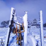 Chhimkeshwori Temple While Snowing